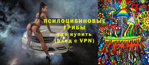 не бодяженный Бородино