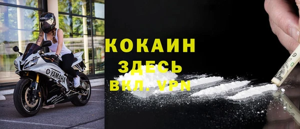 Альфа ПВП Верея