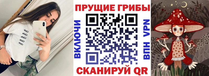 Псилоцибиновые грибы Magic Shrooms  hydra tor  Гагарин 